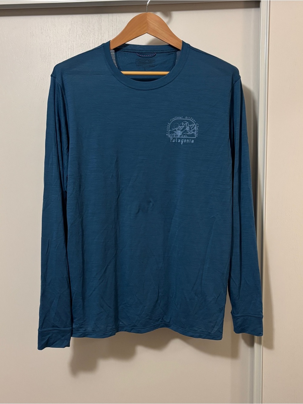 Patagonia Mens Long Sleeve Capilene Cool Merino Blend Graphic Shirt Size L Blue